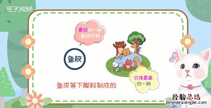 鱼胶是什么