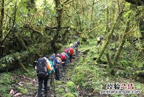 全国有多少人徒步西藏