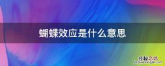 蝴蝶效应是什么意思
