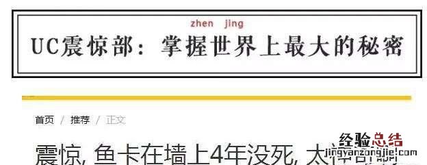四大媒体平台,今日头条,腾讯,百度,UC,哪个更好,为什么