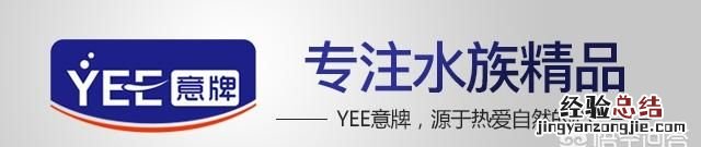 亚甲基蓝鱼缸的使用方法和用量 什么是甲基蓝的正确用法