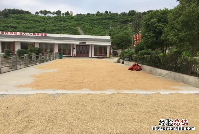 小麦国标一二三等质量标准 3级小麦容重是多少