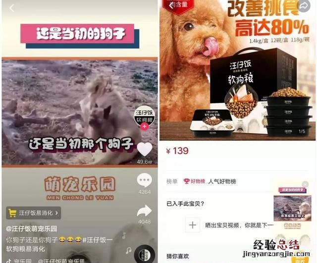 有哪些宠物app