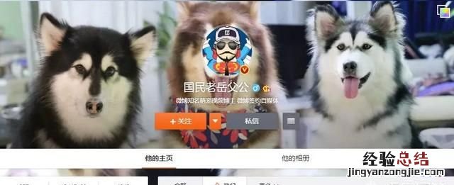 有哪些宠物app