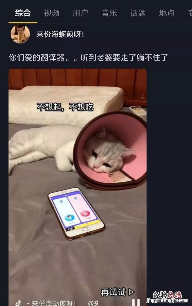 有哪些宠物app
