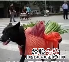 内涵段子,现在有和内涵段子差不多的软件嘛
