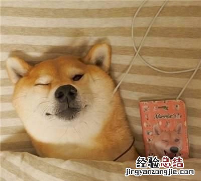 内涵段子,现在有和内涵段子差不多的软件嘛