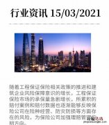 公司如何进行风险管理