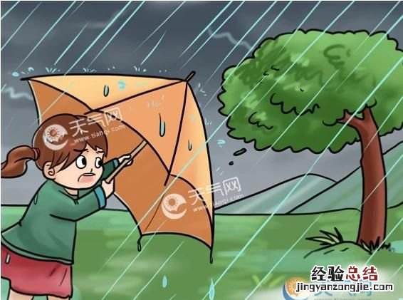 台风和飓风有什么区别
