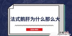 法式鹅肝为什么那么大，鹅肝那么油腻为什么还是有很多人爱吃