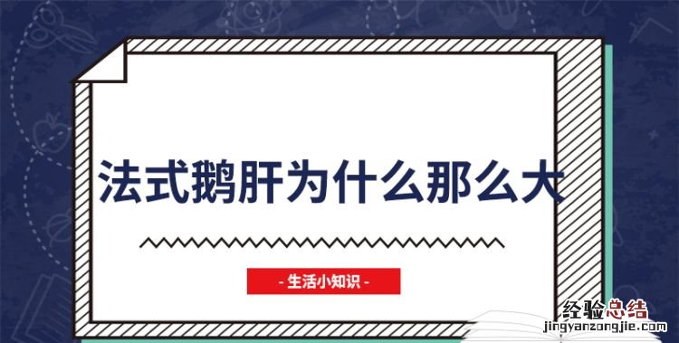 法式鹅肝为什么那么大,鹅肝那么油腻为什么还是有很多人爱吃