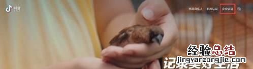 抖音企业号蓝v认证官方收费多少