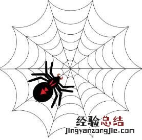 蜘蛛是不是昆虫,蜘蛛不是昆虫那它属于什么