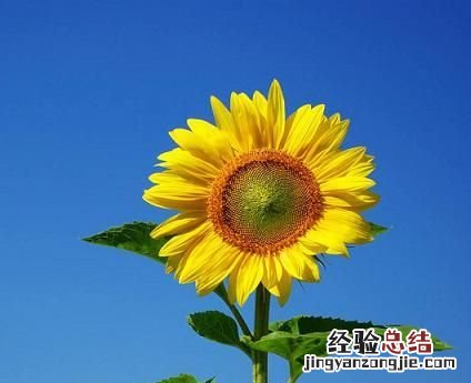 怎样制作九宫格照片 怎样制作九宫格照片教程