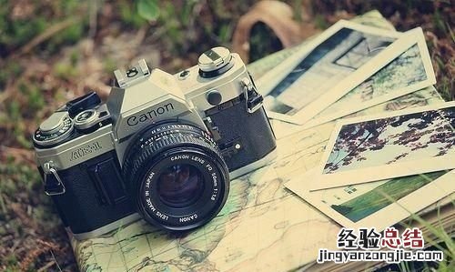 50岁女人应该怎样活的精彩