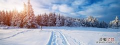 大雪节气的含义是什么
