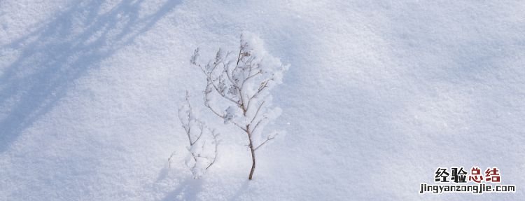 大雪节气的含义是什么