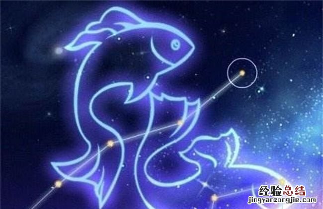 水象星座有哪些，四象星座有哪些