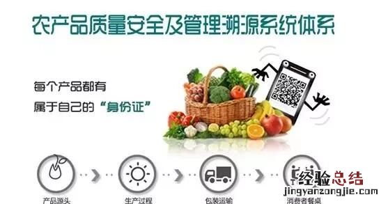 如何建立农产品溯源系统
