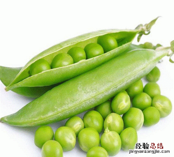 你还知道哪些植物传播种子的方法?