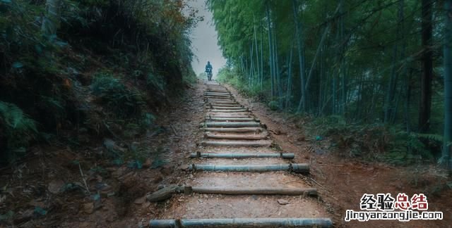 看图写诗怎么写才好看,看图写诗作品