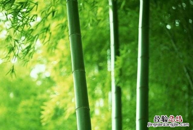 看图写诗怎么写才好看,看图写诗作品