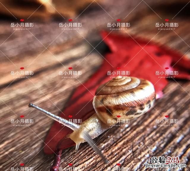 ps制作一个属于自己的水印,ps制作今日相机水印方法