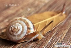 ps制作一个属于自己的水印,ps制作今日相机水印方法