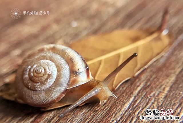 ps制作一个属于自己的水印,ps制作今日相机水印方法