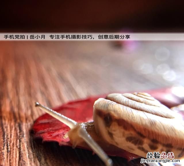 ps制作一个属于自己的水印,ps制作今日相机水印方法
