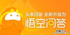 悟空问答有哪些意义,悟空问答有什么特点