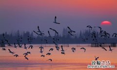 湖北的湖指的是什么湖，湖北湖南的湖指的是什么