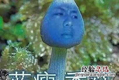 蓝瘦香菇真的存在吗阅读题 蓝瘦香菇真的存在吗