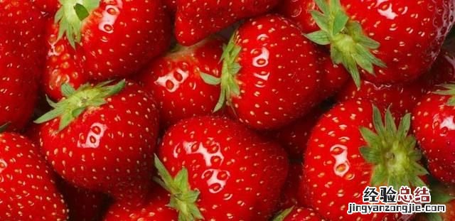 草莓是什么季节的水果