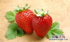 草莓是什么季节的水果