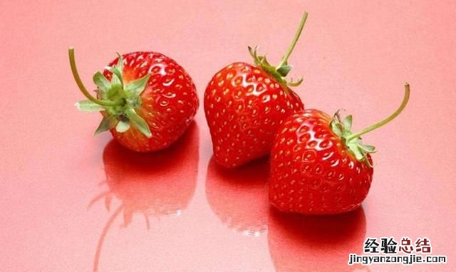 草莓是什么季节的水果