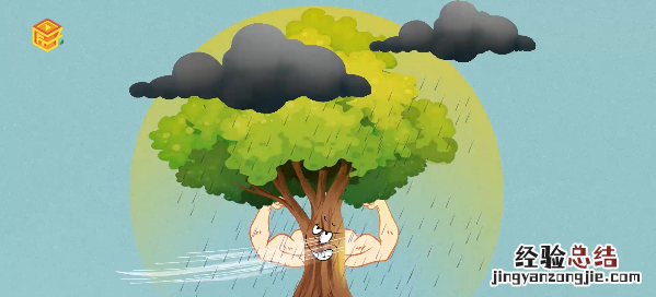 树干为什么是圆的,树木为什么是圆的