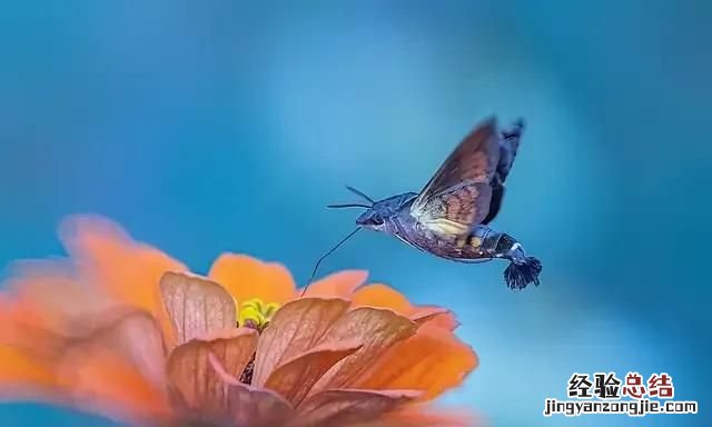 人像如何拍出空气切割感觉,人像摄影如何摆动作