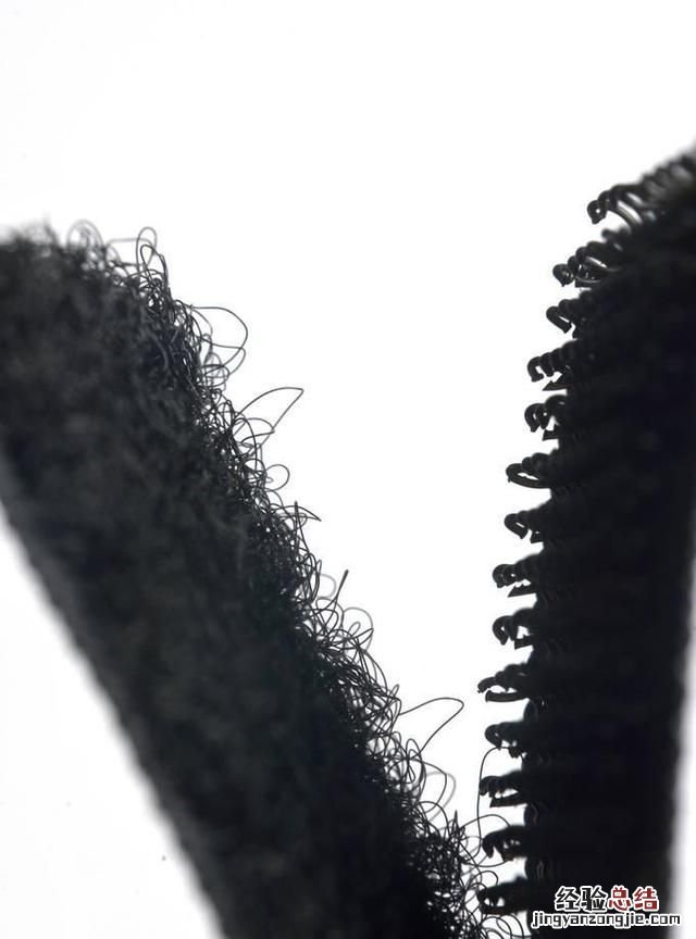 苍耳是什么样子的 苍耳是什么