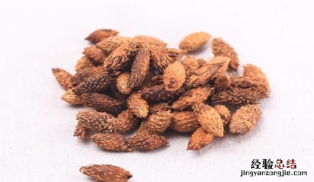 苍耳是什么样子的 苍耳是什么