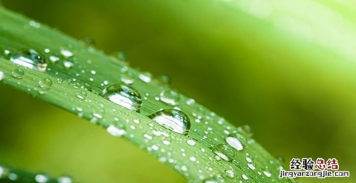 白露节气的含义是什么