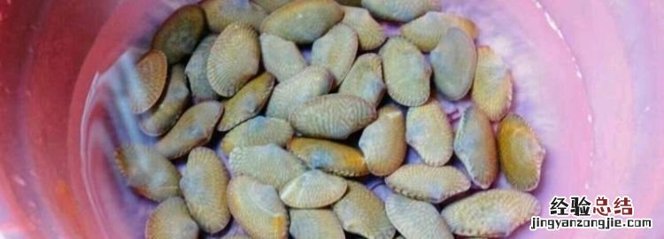 花甲怎么清洗，花甲壳怎么清洗