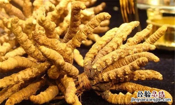 西藏特产,去西藏有什么该买的特产
