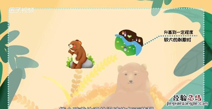 熊冬眠吗,黑熊冬眠