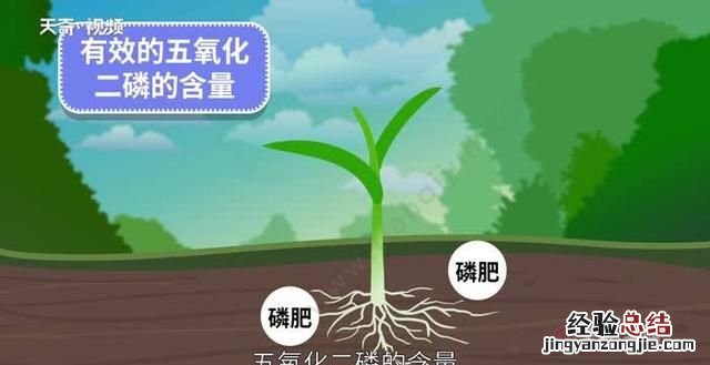 磷肥的作用