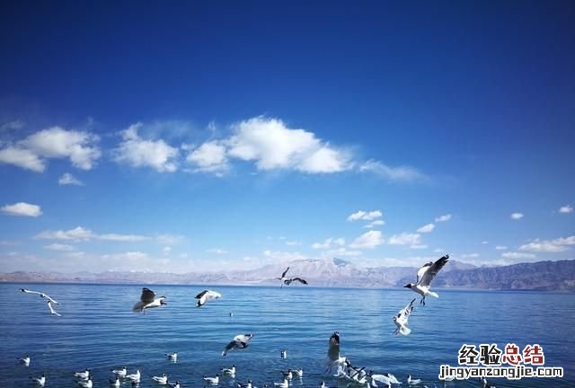 有西藏阿里地区的旅游风景介绍吗