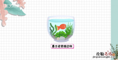 鱼有没有心脏，为什么鱼被杀掉后它的心脏还在动呢