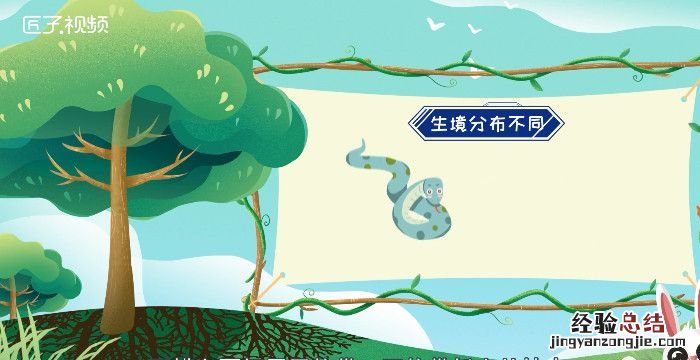 蚺和蟒的区别,蛇与蟒与蚺的区别
