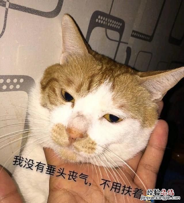 会计找工作准备什么