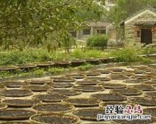 淡豆豉是什么药有何功效 淡豆豉是什么